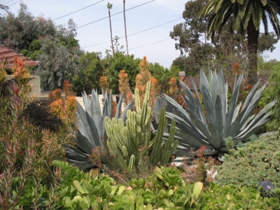 See Arlington Garden In Pasadena On National Arbor Day Lacitypix