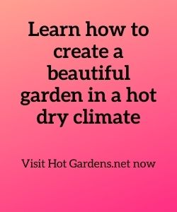 link to hotgardens.net